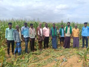 ಹನೂರು – ಕಾಡಾನೆ ದಾಳಿಯಿಂದ ಫಸಲು ನಾಶ ಪರಿಹಾರಕ್ಕೆ ರೈತರ…